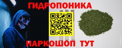 прущая мука Пугачёв