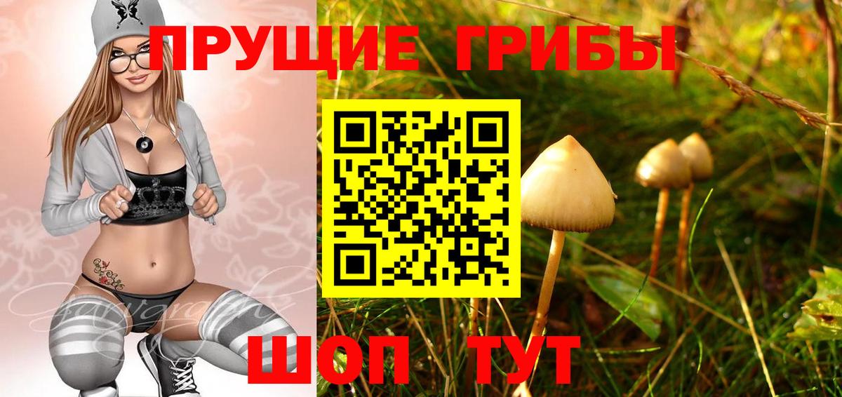 Галлюциногенные грибы Psilocybine cubensis  Галлюциногенные грибы MAGIC MUSHROOMS  Вход с VPN  Светлоград 