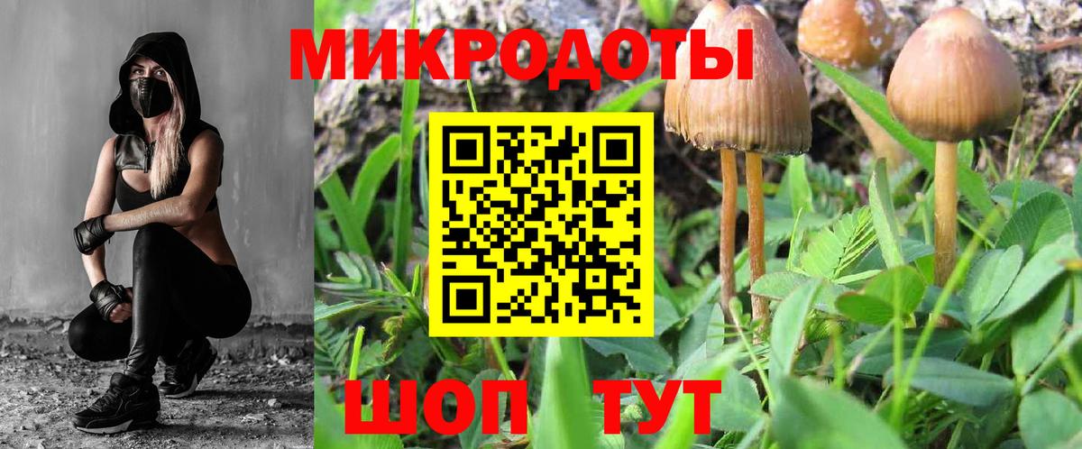 Галлюциногенные грибы мицелий Светлоград